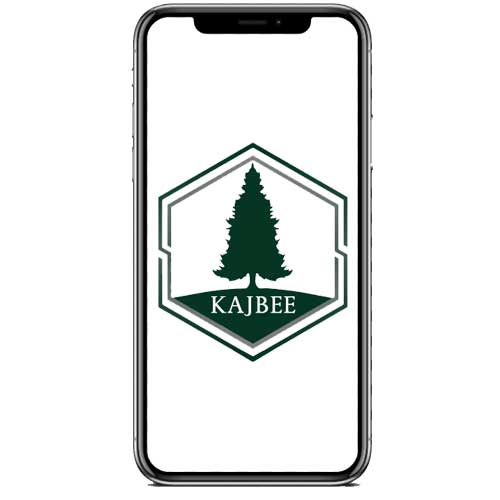 تلفن همراه و لوازم جانبی